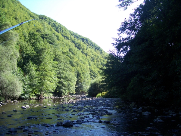  Image name: Fiume35.jpg 
 width: 601 pixel 
 height: 452 pixel 
 Size: 264059 bytes 
 Click to enlarge 